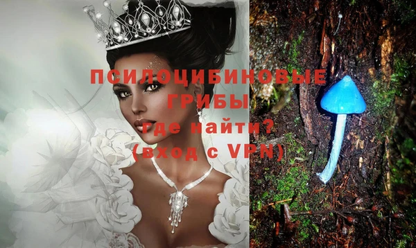 спиды Абдулино